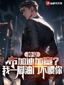 神豪：布加迪加塞？我一脚油门不惯你
